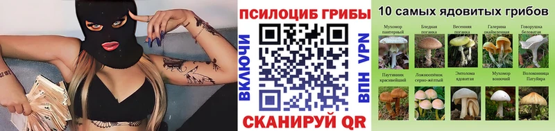 Псилоцибиновые грибы Magic Shrooms Пущино