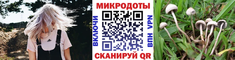 Псилоцибиновые грибы Magic Shrooms Пущино
