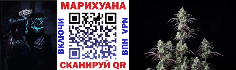 закладка  Пущино  Бошки Шишки план 
